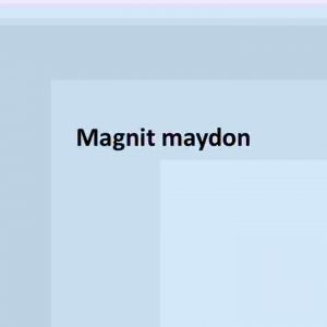 Magnit maydon