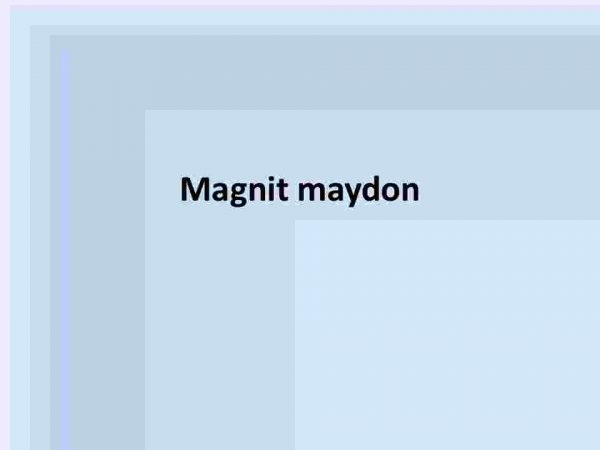 Magnit maydon