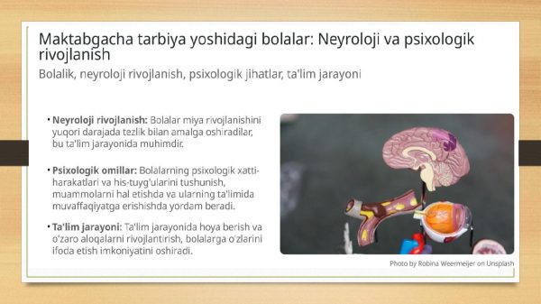 Maktabgacha tarbiya yoshining rivojlanishini  shart-sharoitlari - Image 3