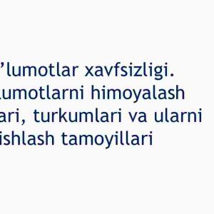 Ma'lumotlar xavfsizligi. Ma'lumotlarni himoyalash tizimlari, turkumlari va ularni ishlash tamoyillari