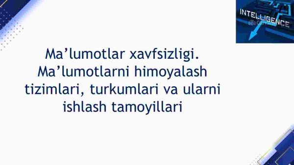 Ma'lumotlar xavfsizligi. Ma'lumotlarni himoyalash tizimlari, turkumlari va ularni ishlash tamoyillari