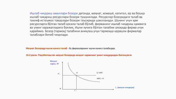 Mehnat bozori va korxonalarda resurslardan foydalanish - Image 3
