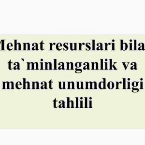 Mehnat resurslari bilan ta'minlanganlik va mehnat unumdоrligi tahlili