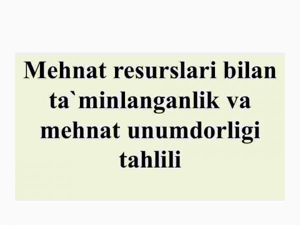 Mehnat resurslari bilan ta'minlanganlik va mehnat unumdоrligi tahlili