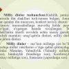 Milliy dinlar - Image 4
