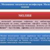 Moliya tizimi va moliyaviy siyosat - Image 3