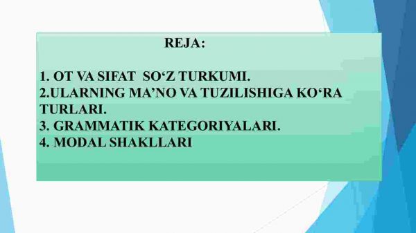Mustaqil so'z turkumlari. Ot va sifat so'z turkumining ma'nosi va grammatik belgilari - Image 2