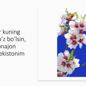 Har kuning Navro'z bo'lsin, jonajon O'zbekistonim