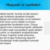 OpenCV va Python orqali chuqur o'rganishdan foydalangan holda obyektni aniqlash - Image 4