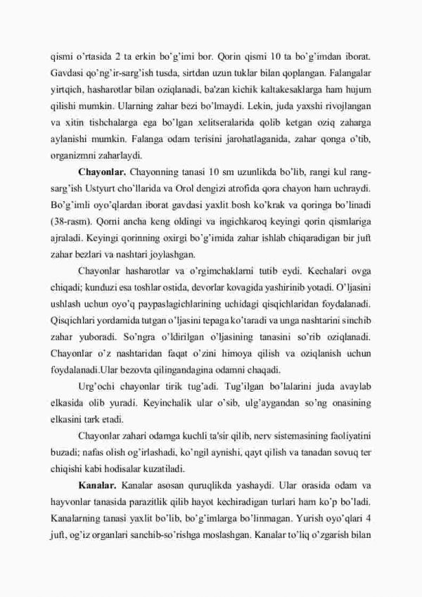 O'rgimchaksimonlar klassifikatsiyasi - Image 3