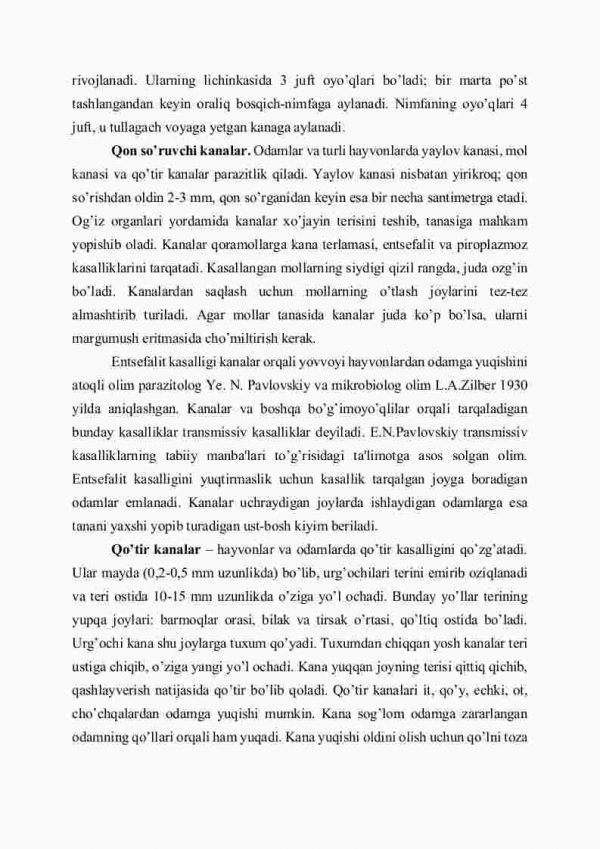 O'rgimchaksimonlar klassifikatsiyasi - Image 4