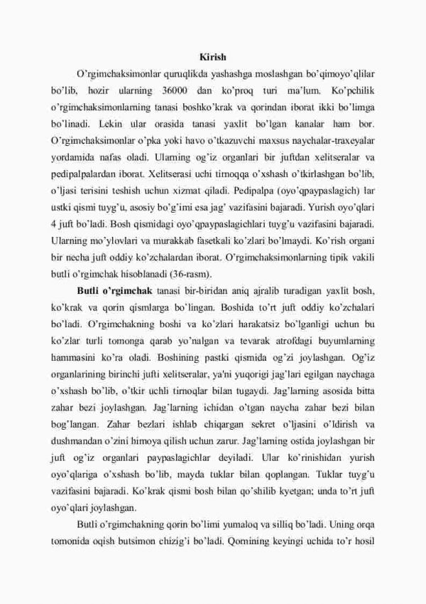 O'rgimchaksimonlar sinfi - Image 2