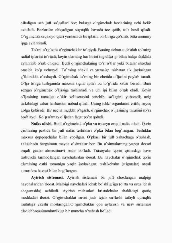 O'rgimchaksimonlar sinfi - Image 3