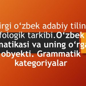 Hozirgi o'zbek adabiy tilining morfologik tarkibi. O'zbek tili grammatikasi va uning o'rganish obyekti. Grammatik kategoriyalar