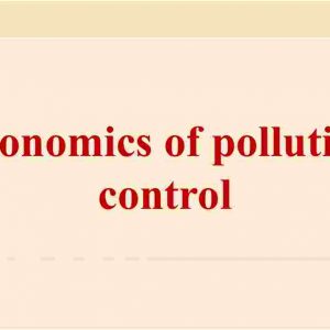 Economics of pollution control