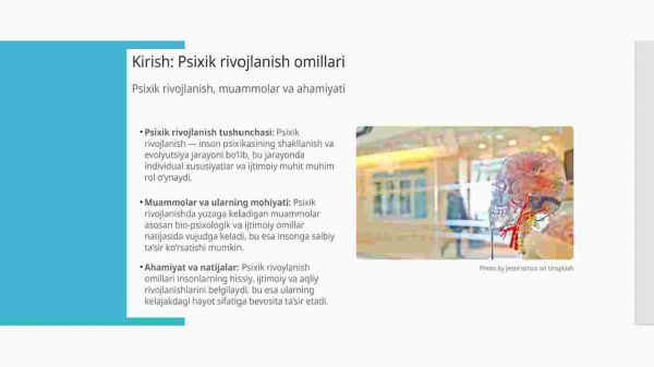 Psixik rivojlanish omillari muammolarini qo'yilishi - Image 2