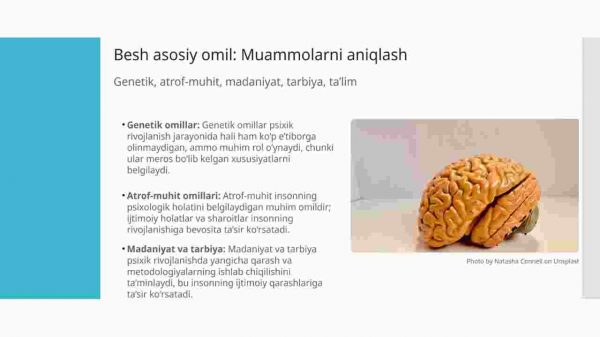 Psixik rivojlanish omillari muammolarini qo'yilishi - Image 4