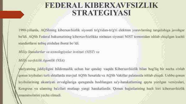 АQShning kiberxavfsizlik strategiyasi. Kiberxavfsizlik boʼyicha davlat siyosatining qisqacha tarixi va rivoji - Image 2