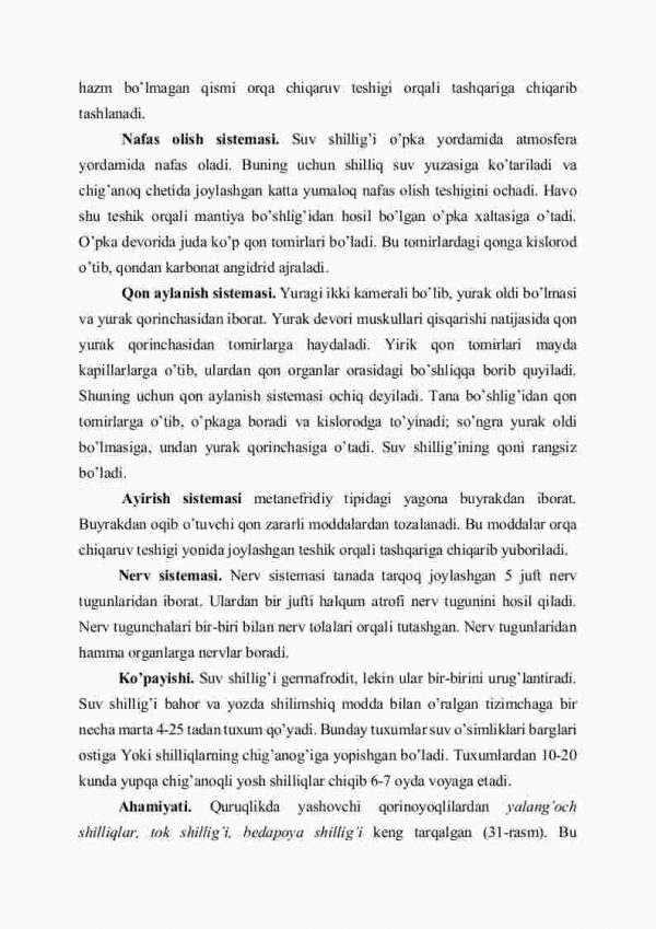 Qorinoyoqli molluskalar sinfi - Image 3