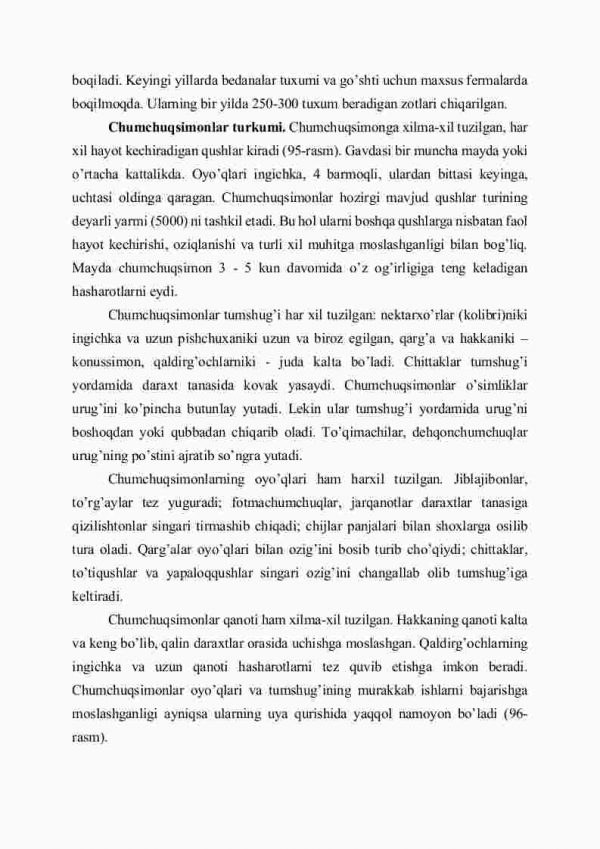 Qushlar sistеmatikasi: ko'kraktojsizlar, tovuqsimonlar, chumchuqsimonlar, g'ozsimonlar - Image 4