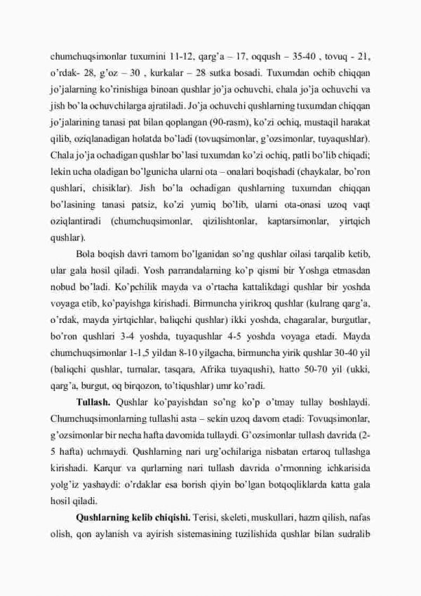 Qushlarning ko'payishi va kеlib chiqishi - Image 4