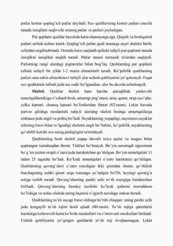 Qushlarning tashqi tuzilishi, skеlеti va muskullari - Image 3