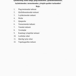 Qushlarning xilma-xilligi: pingvinsimonlar, qizilishtonsimonlar, laylaksimonlar, turnasimonlar, yirtqich qushlar turkumlari