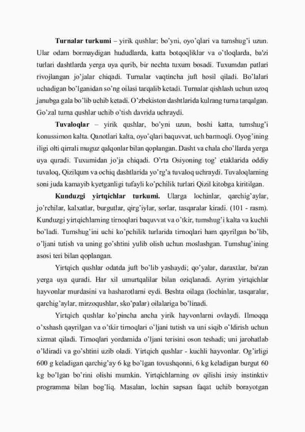 Qushlarning xilma-xilligi: pingvinsimonlar, qizilishtonsimonlar, laylaksimonlar, turnasimonlar, yirtqich qushlar turkumlari - Image 4