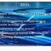 Raqamli iqtisodiyotda blokchyeyn va kriptovalyutalar texnologiyalari - Image 2