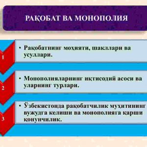Raqobat va monopoliya