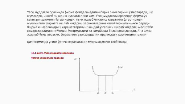 Raqobatlashuvchi firma va tarmoqning uzoq muddatli oraliqdagi muvozanati va tarmoqning taklifi - Image 3