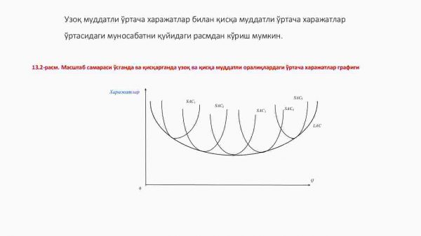Raqobatlashuvchi firma va tarmoqning uzoq muddatli oraliqdagi muvozanati va tarmoqning taklifi - Image 4