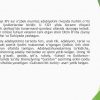 Sayfi Saroyi ijodi. “Gulistoni bit – turkiy” asari haqida - Image 3