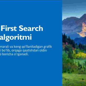Depth First Search (DFS) algoritmi
