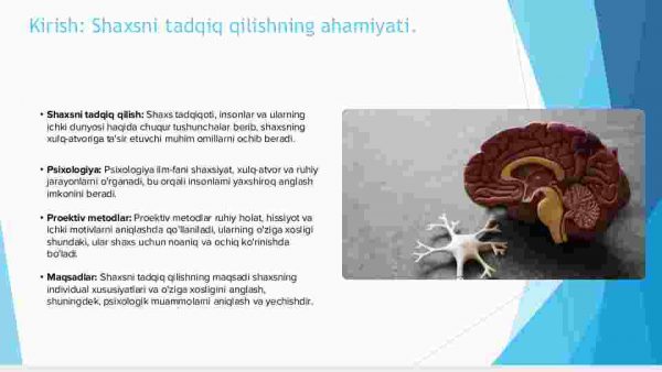 Shaxsni tadqiq qilishning proektiv metodlari - Image 3