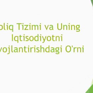 Soliq tizimi va uning iqtisodiyotni rivojlantirishdagi o'rni
