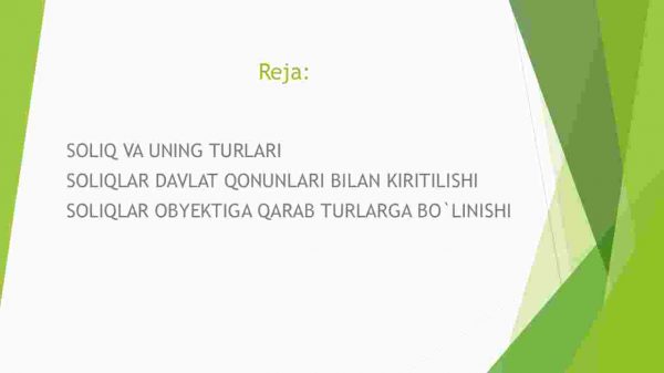 Soliq tizimi va uning iqtisodiyotni rivojlantirishdagi o'rni - Image 2