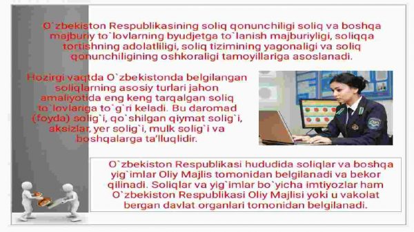 Soliq tizimi va uning iqtisodiyotni rivojlantirishdagi o'rni - Image 3