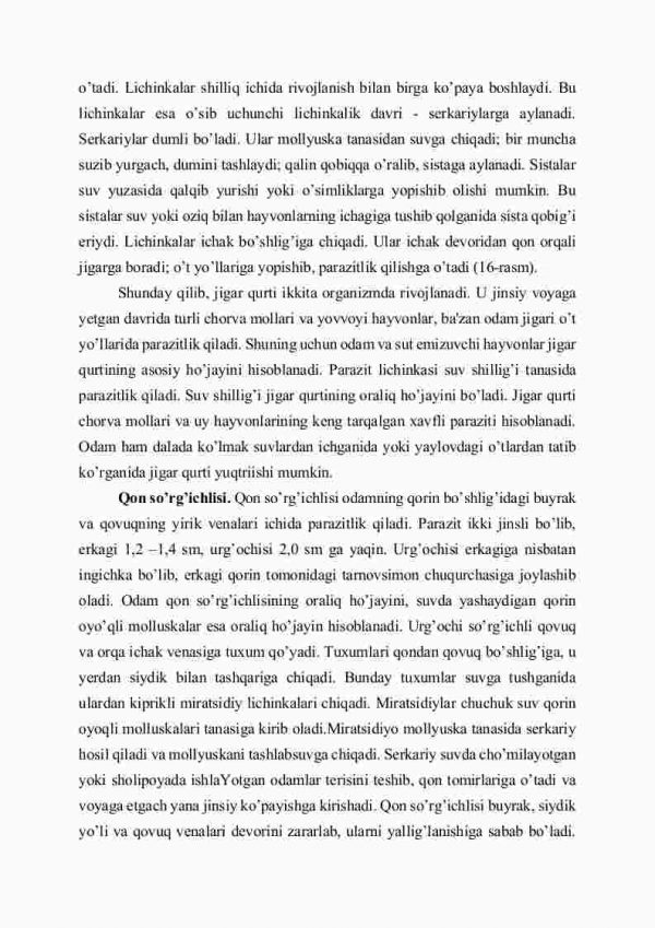 So'rg'ichlilar sinfi - Image 3