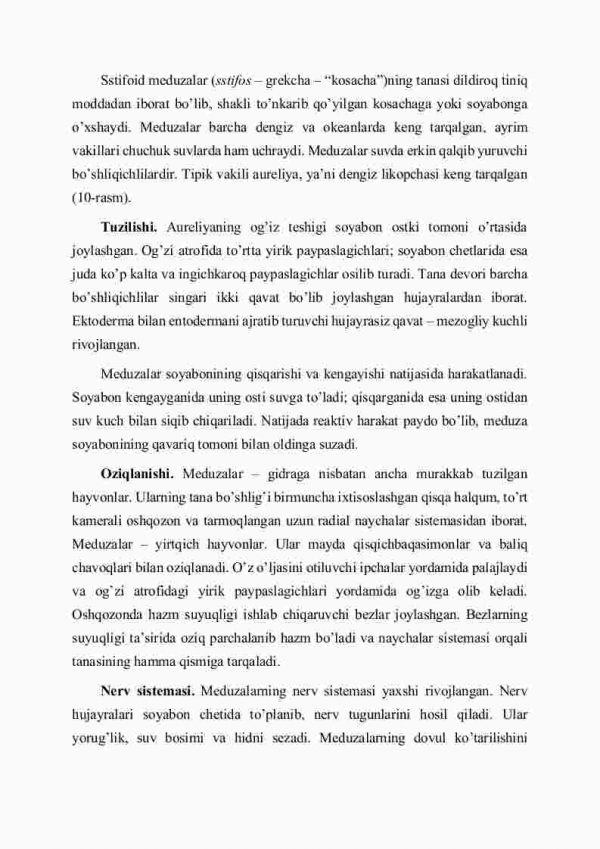 Sstifоid mеduzаlаr vа kоrаll pоliplаr sinflаri - Image 2