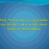 Stek. Stekni massiv yordamida tasvirlash va ular ustida amal bajarish algoritmlari