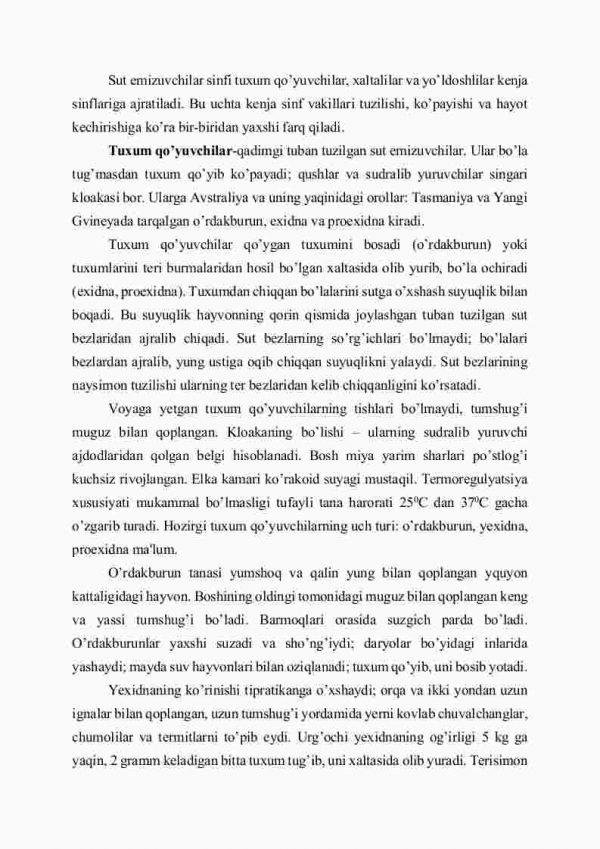 Sut emizuvchilar klassifikatsiyasi: tuxum qo'yuvchilar, xaltalilar, yo'ldoshlilar - Image 2