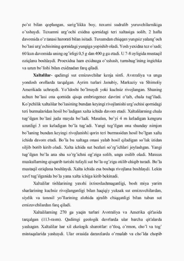 Sut emizuvchilar klassifikatsiyasi: tuxum qo'yuvchilar, xaltalilar, yo'ldoshlilar - Image 3