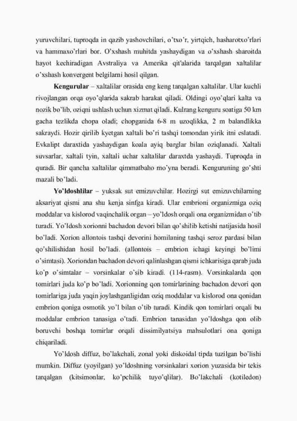 Sut emizuvchilar klassifikatsiyasi: tuxum qo'yuvchilar, xaltalilar, yo'ldoshlilar - Image 4