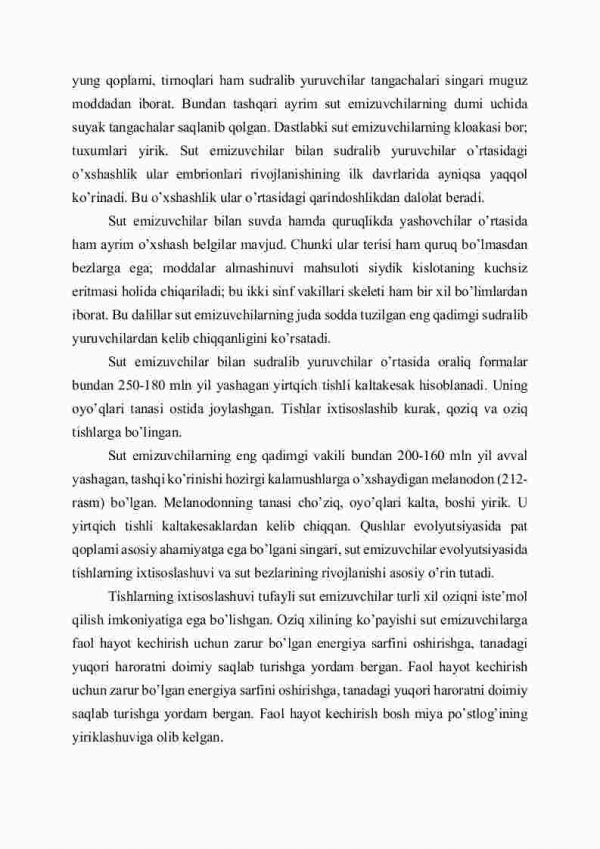 Sut emizuvchilarning ko'payishi, rivojlanishi va kеlib chiqishi - Image 4