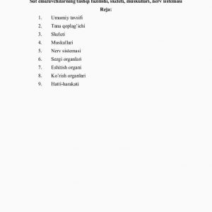 Sut emizuvchilarning tashqi tuzilishi, skеlеti, muskullari, nеrv sistеmasi
