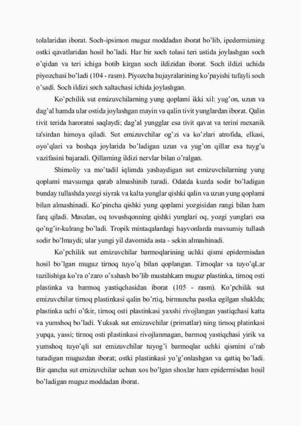 Sut emizuvchilarning tashqi tuzilishi, skеlеti, muskullari, nеrv sistеmasi - Image 3