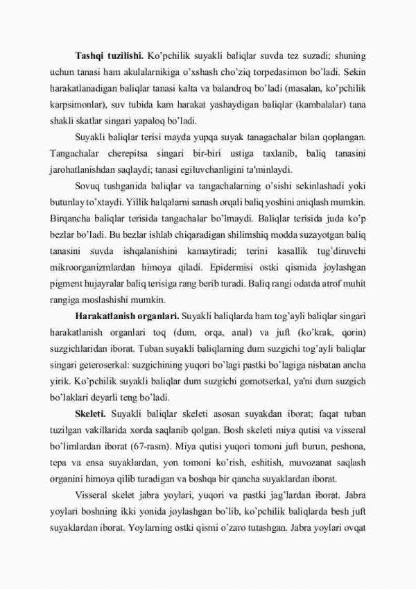 Suyakli baliqlarning tuzilishi - Image 2