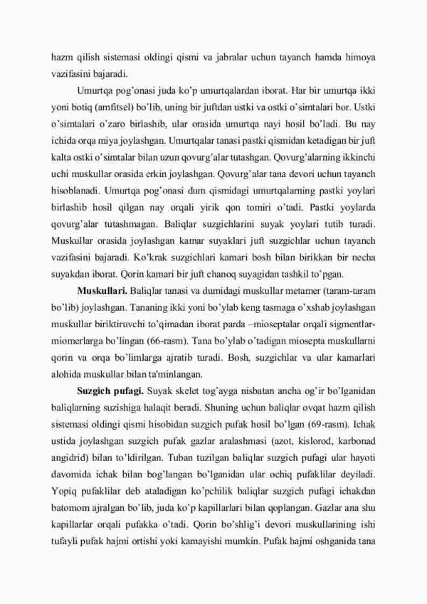 Suyakli baliqlarning tuzilishi - Image 3