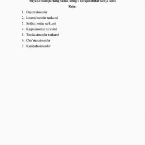 Suyakli baliqlarning xilma-xilligi: nurqanotlilar kеnja sinfi